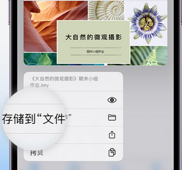 东方apple维修中心分享iPhone文件应用中存储和找到下载文件