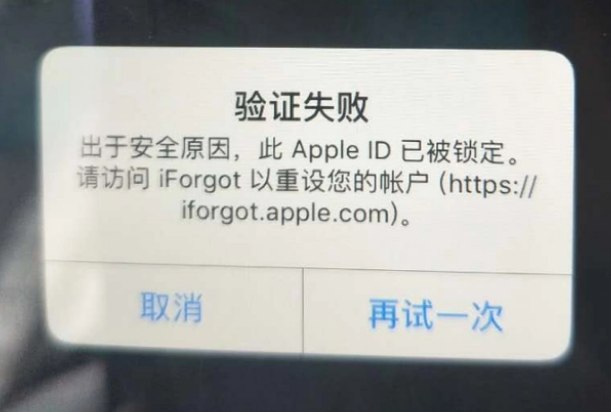 东方iPhone维修分享iPhone上正常登录或使用AppleID怎么办 