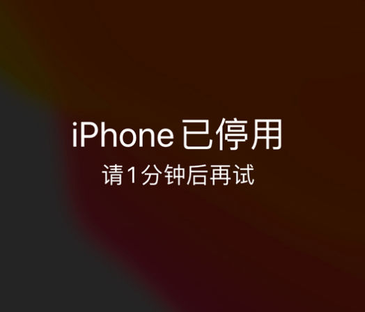 东方苹果手机维修分享:iPhone 显示“不可用”或“已停用”怎么办？还能保留数据吗？ 