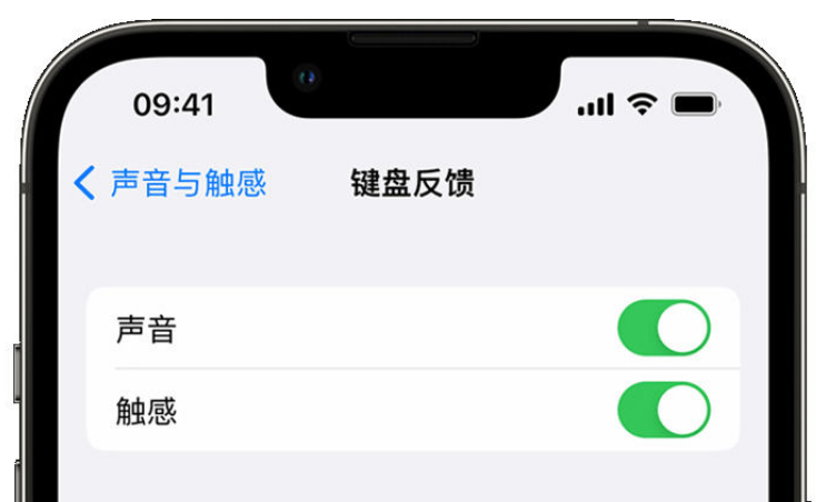 东方苹果手机维修分享iPhone 14触感键盘使用方法 