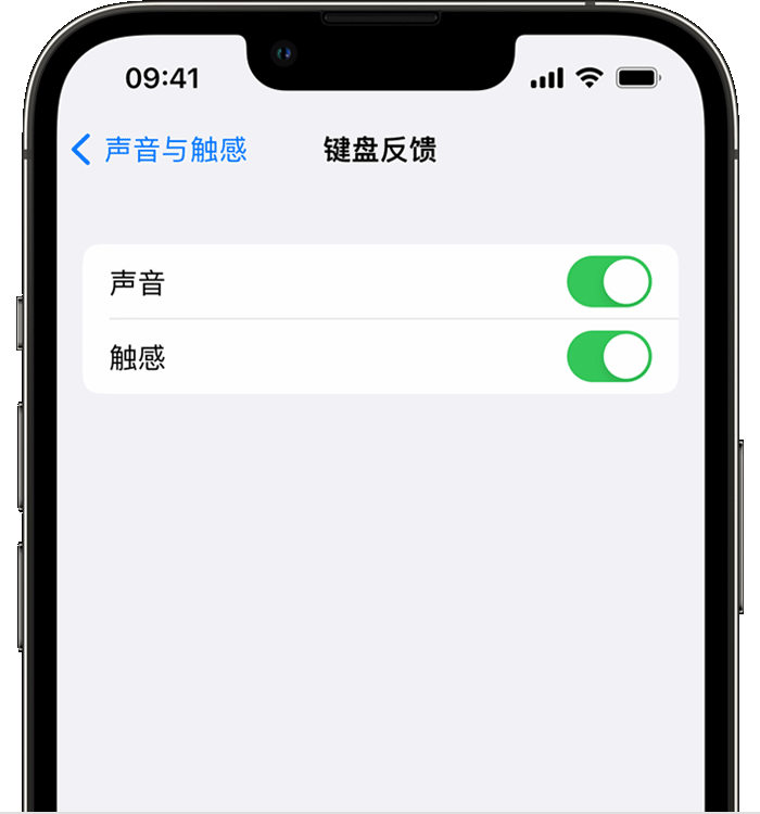 东方苹果14维修店分享如何在 iPhone 14 机型中使用触感键盘 