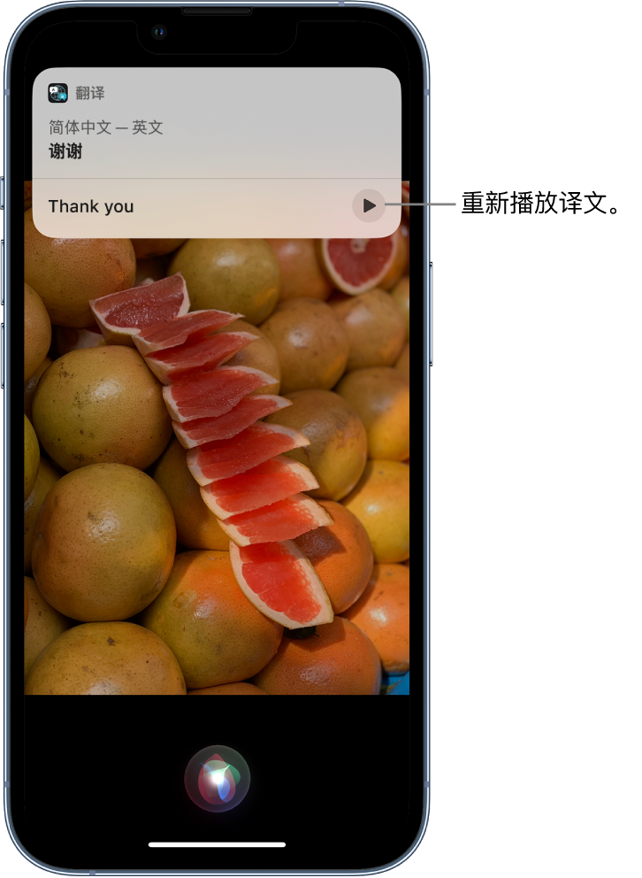 东方苹果14维修分享 iPhone 14 机型中使用 Siri：了解 Siri 能帮你做什么 