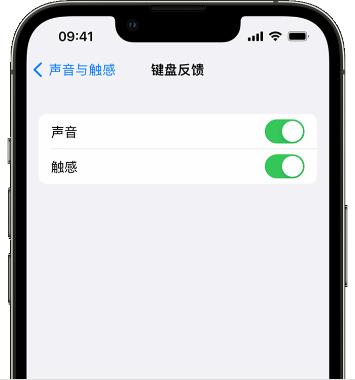 东方苹果14维修分享iPhone 14 系列机型如何开启键盘声音或触感反馈 