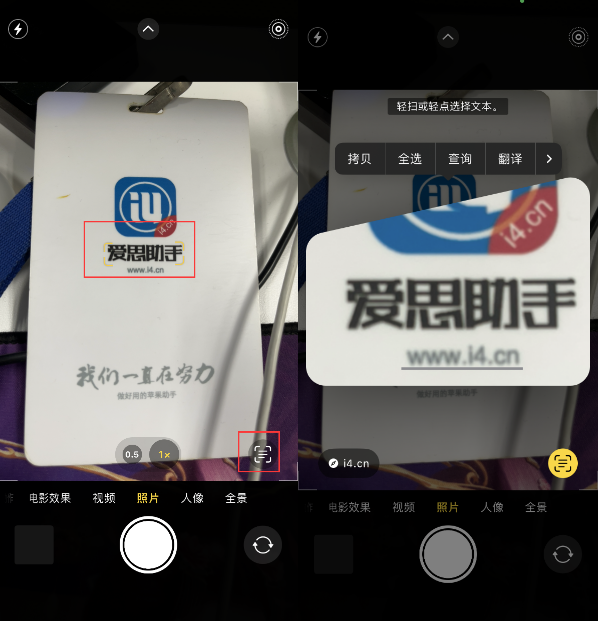 东方苹果手机维修分享升级iOS 16后如何通过相机翻译文本 