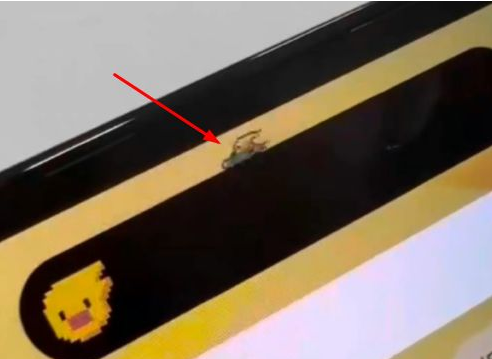 东方苹果14维修分享iPhone 14 Pro Max灵动岛怎么养宠物 