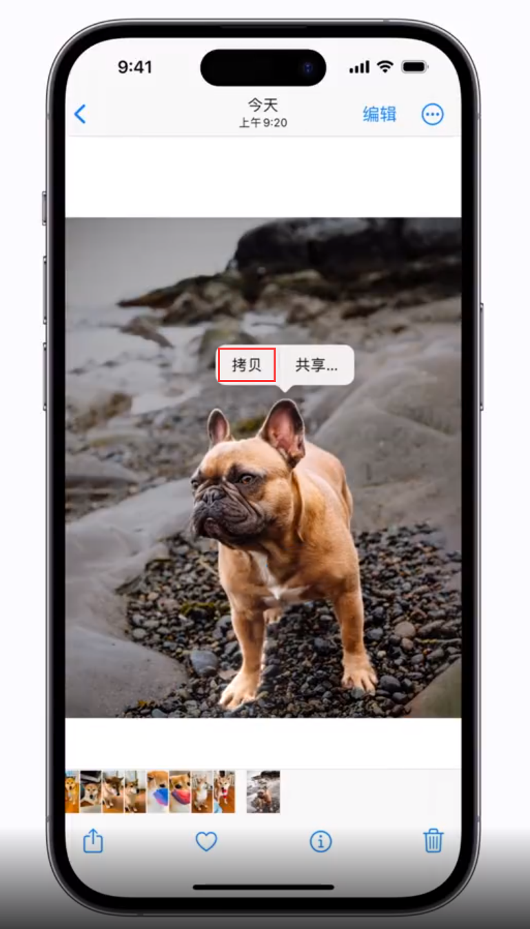 东方 苹果手机维修分享iOS 16 “照片”应用更新内容与改进汇总 