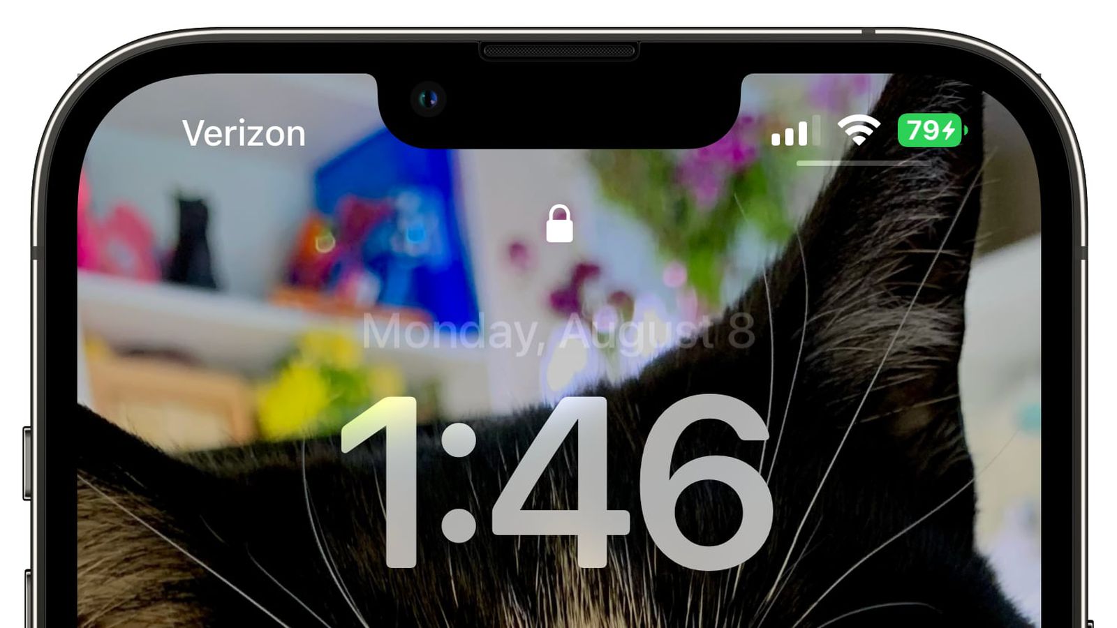 东方苹果手机维修分享iOS 16 beta 5 支持状态栏显示电池百分比，如何开启？支持哪些机型 