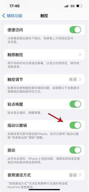 东方苹果手机维修分享iPhone手机如何设置摇一摇删除文字 