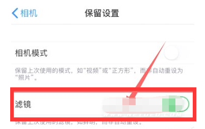 东方苹果13维修分享iPhone13拍照有绿点是怎么回事 