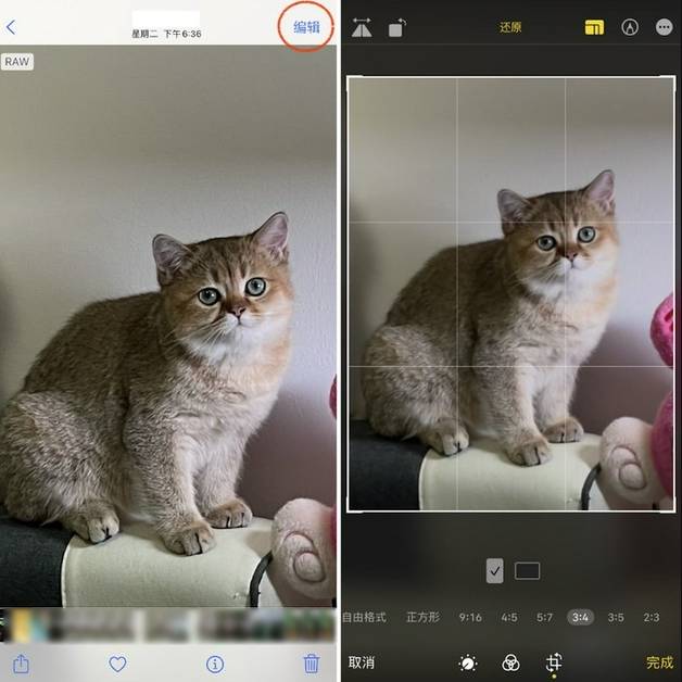 东方苹果手机维修分享苹果 iPhone 12 Pro 拍照会过度锐化 