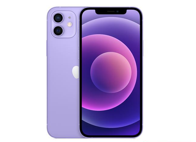 东方苹果手机维修分享现阶段要不要入手紫色版iPhone12 