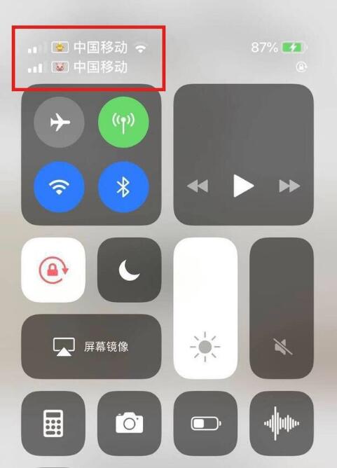 东方苹果手机维修分享为 iPhone 12 双卡设置标签 