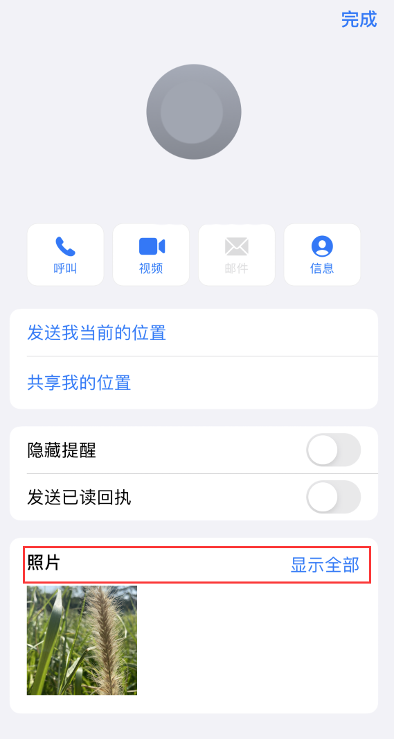 东方苹果手机维修分享如何快速查找 iMessage 信息中的图片等附件 
